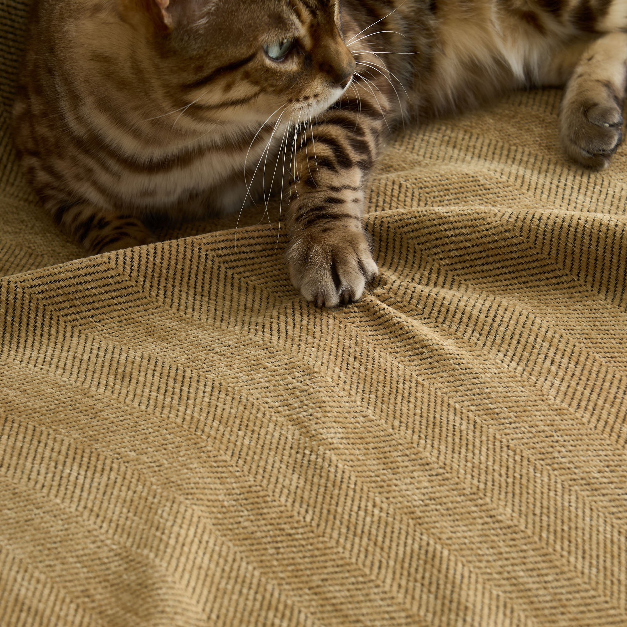 Pet Friendly Herringbone Sofa Cover with Soft Chenille Texture
