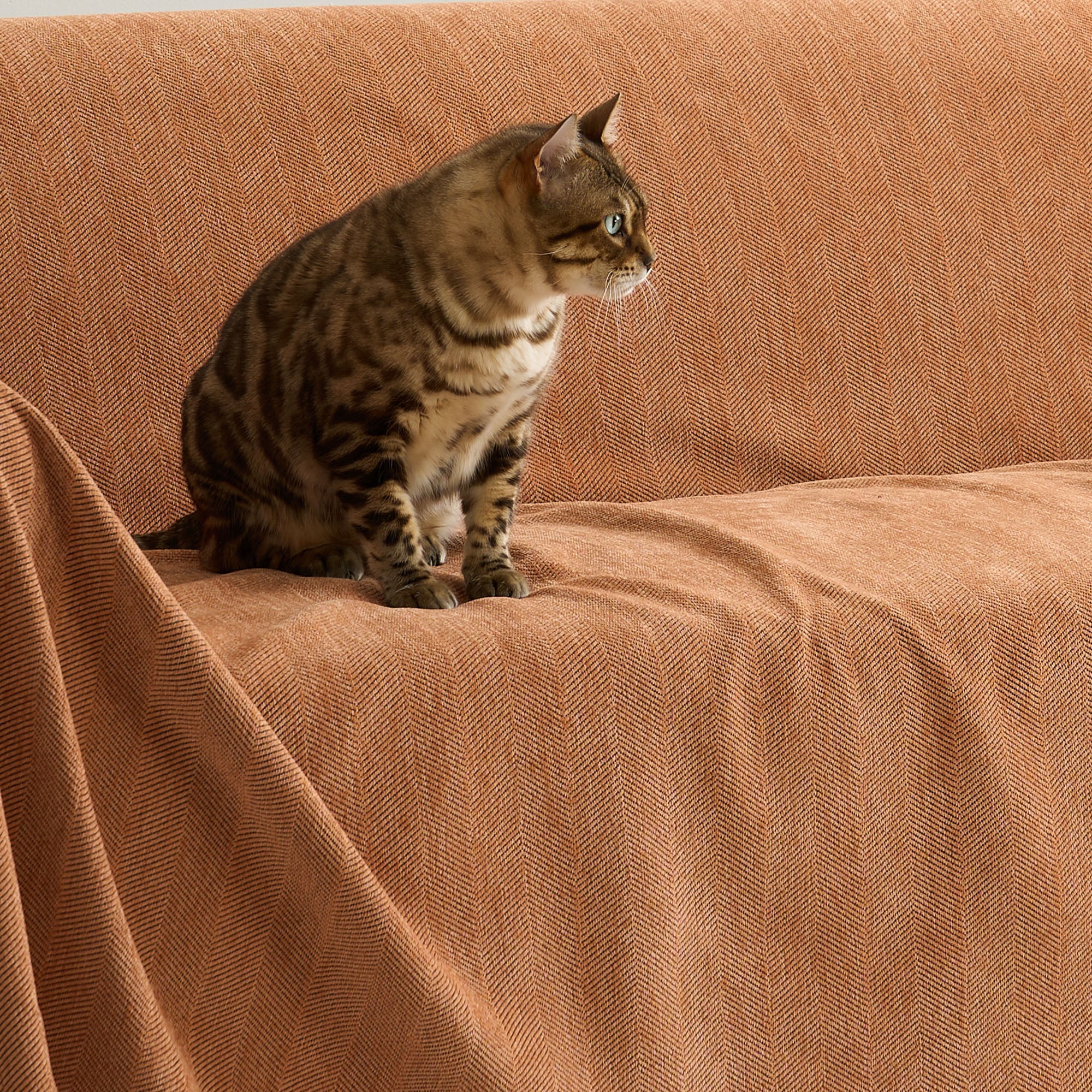 Durable Herringbone Sofa Cover for Modern Pet Friendly Homes