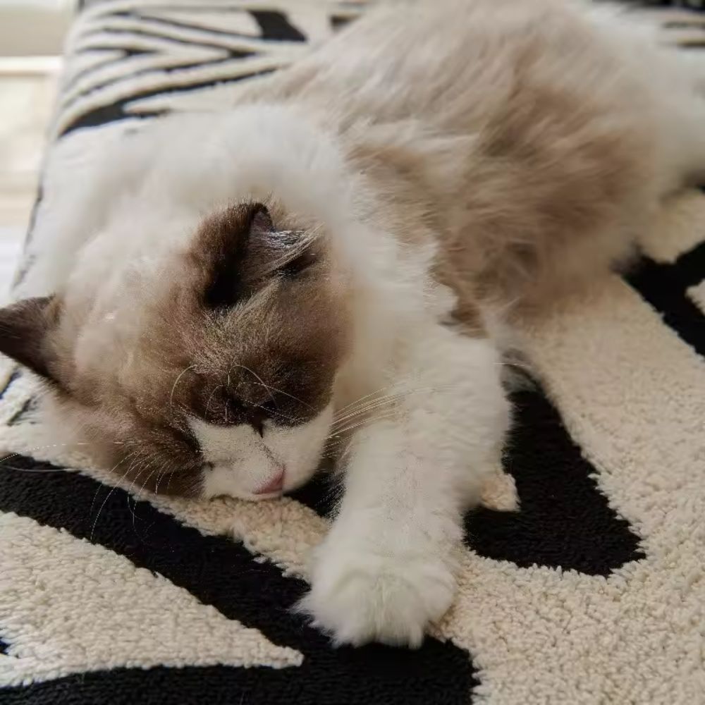 Urban Maze Jacquard Sofa Cover for Modern Living Spaces