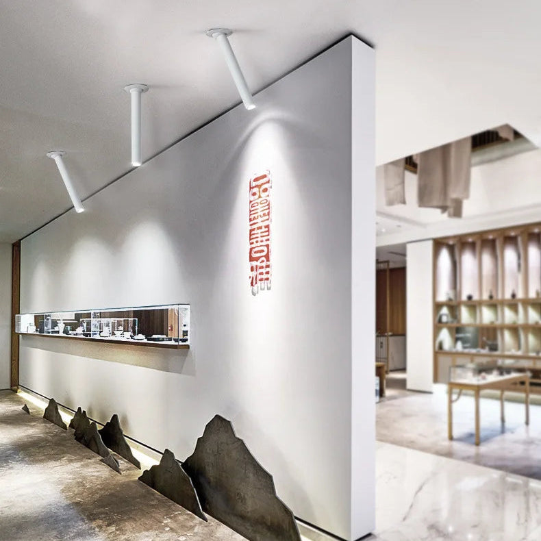 Adjustable Recessed LED Can Lights with Slim Aluminium Design | Customizable Spotlights for Artwork and Displays