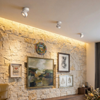 Adjustable Rotating Downlight Ceiling Spot Light with Dimmable LED | Modern Design for Perfect Illumination