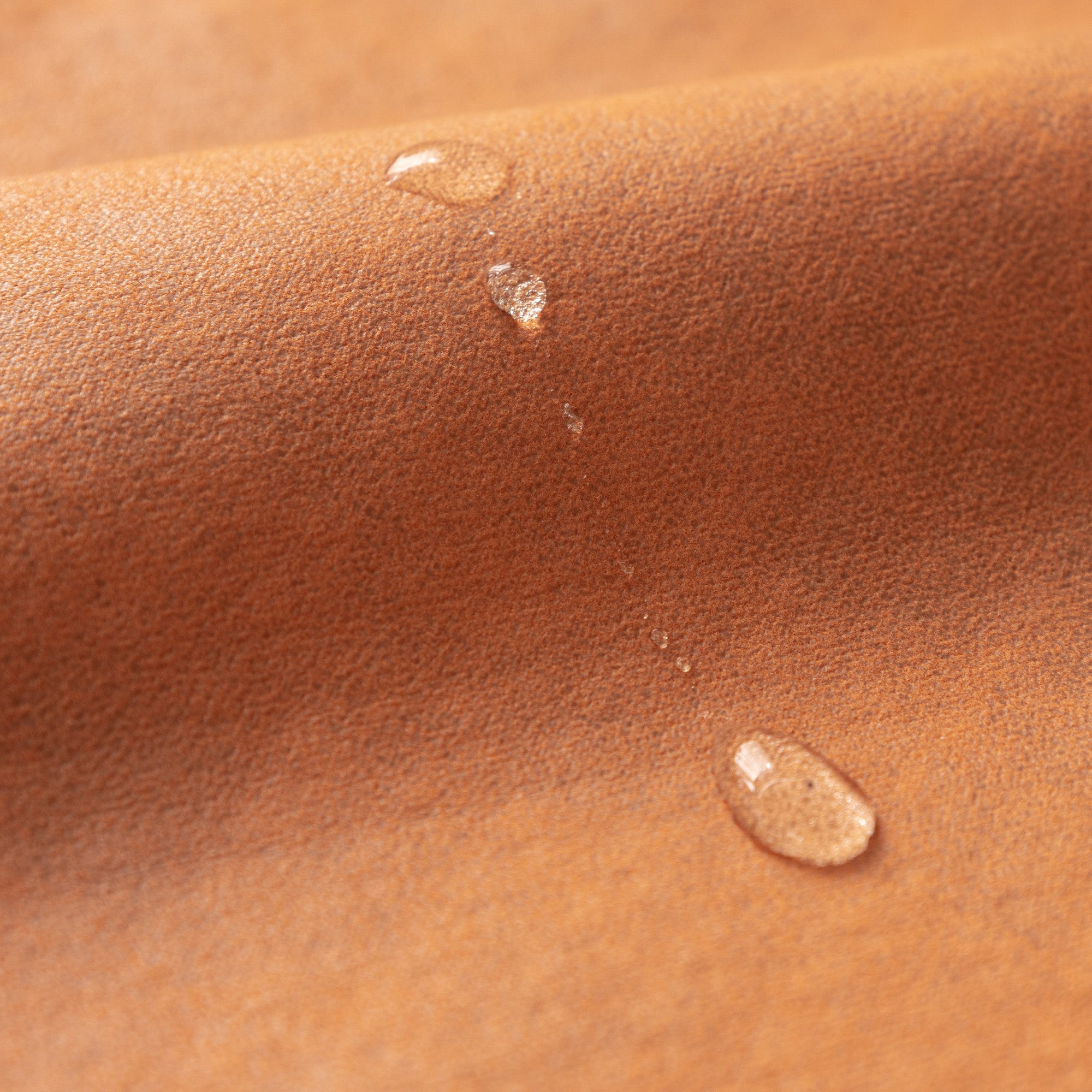 Waterproof Anti Slip Scratch Resistant Sofa Cover for Pet Homes