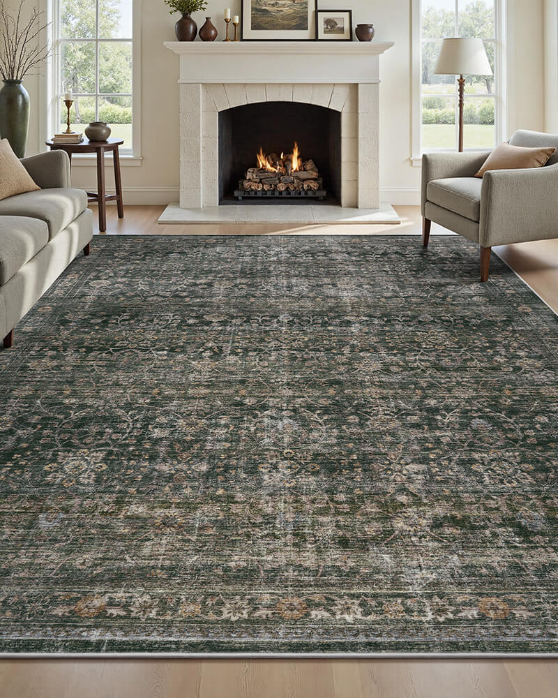 Aster | Washable Area Rug with Non-Slip Backing | Eco-Friendly Comfort for Living Room