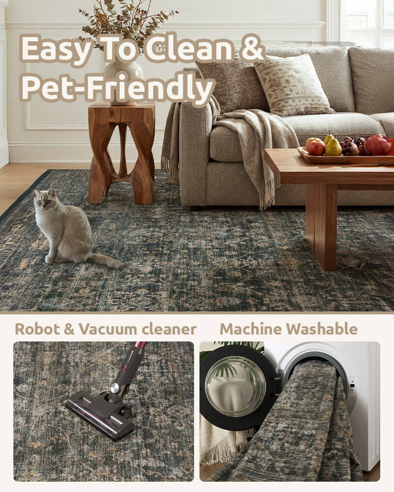 Aster | Washable Area Rug with Non-Slip Backing | Eco-Friendly Comfort for Living Room