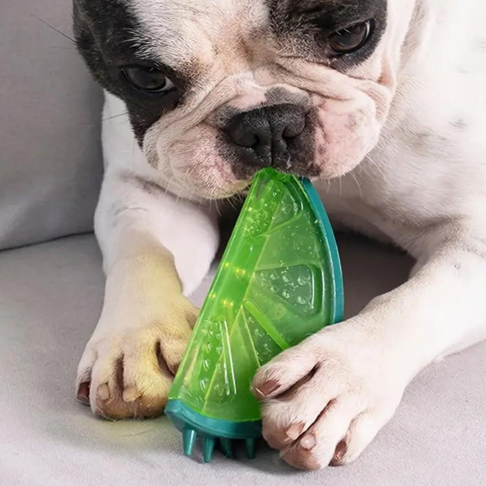 Chill Paws | Cooling Pet Chew Toy with Fruit Shapes & Hydration Boost | Durable Design for Summer Fun