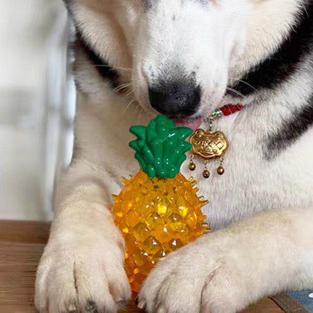 Chill Paws | Cooling Pet Chew Toy with Fruit Shapes & Hydration Boost | Durable Design for Summer Fun