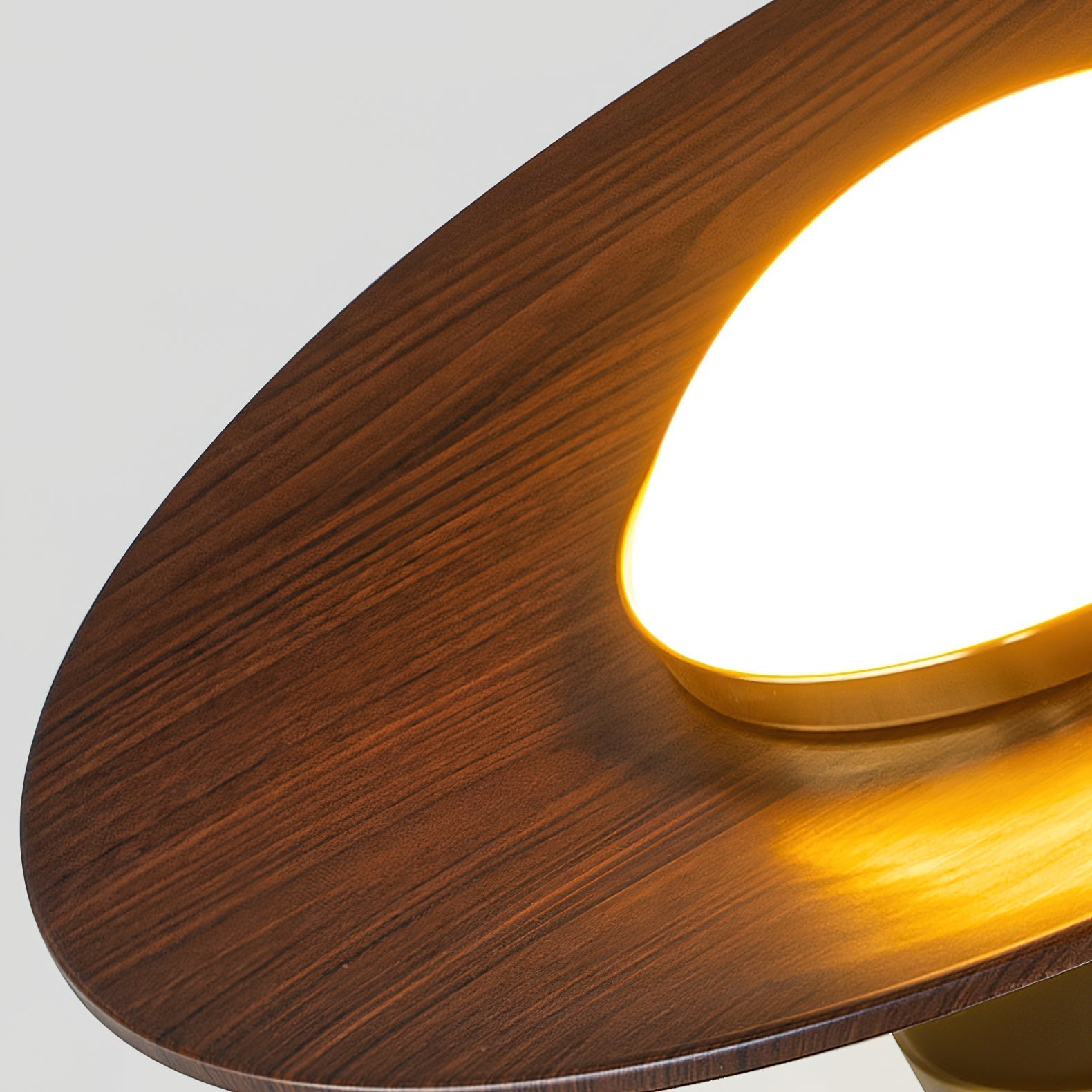 Contemporary Flush Mount Ceiling Light with Integrated LED & Wood Accent | Stylish Ceiling Light Fixture for Modern Spaces