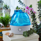 Cool Mist Humidifier with 2.2L Tank & 360° Nozzle | Whisper-Quiet Design for Bedroom Comfort
