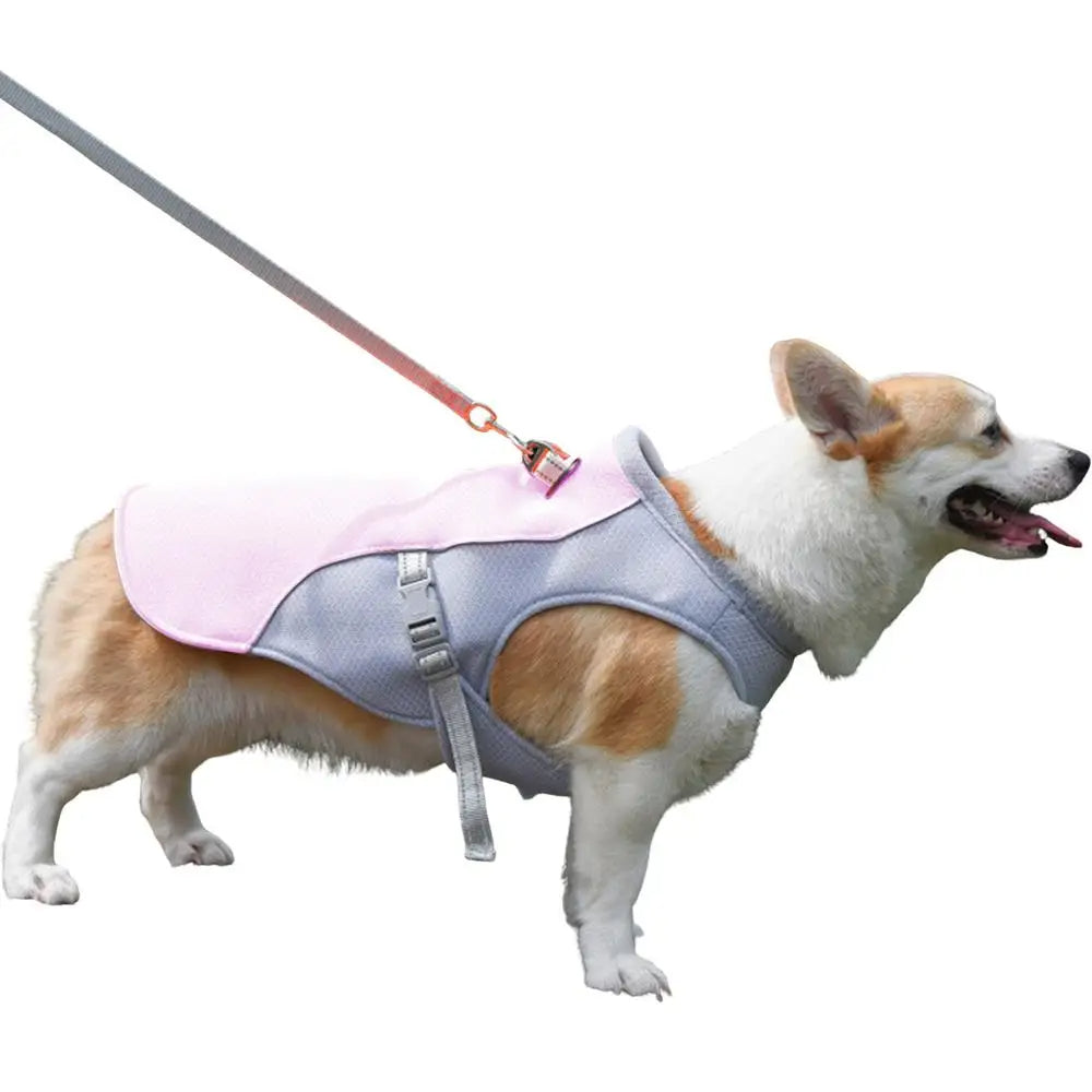Cooling Vest for Dogs | Dog Cooling Vest with Three-Layer Fabric System | Lightweight Design for Instant Relief During Outdoor Adventures