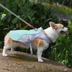 Cooling Vest for Dogs | Dog Cooling Vest with Three-Layer Fabric System | Lightweight Design for Instant Relief During Outdoor Adventures