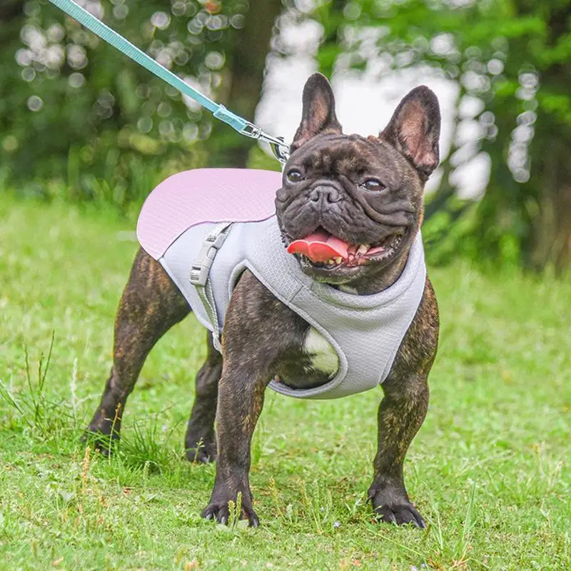 Cooling Vest for Dogs | Dog Cooling Vest with Three-Layer Fabric System | Lightweight Design for Instant Relief During Outdoor Adventures