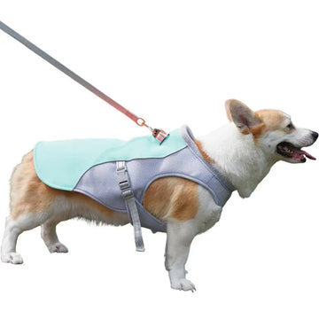 Cooling Vest for Dogs | Dog Cooling Vest with Three-Layer Fabric System | Lightweight Design for Instant Relief During Outdoor Adventures