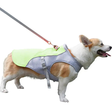 Cooling Vest for Dogs | Dog Cooling Vest with Three-Layer Fabric System | Lightweight Design for Instant Relief During Outdoor Adventures