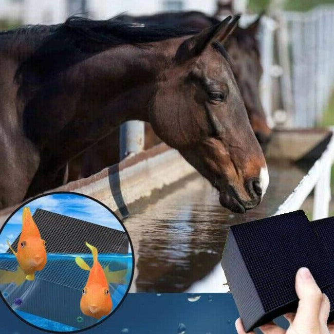 Eco Aqua | Water Purifier BIO-Cube with Activated Carbon | Safe Water Solution for Healthy Pets and Livestock