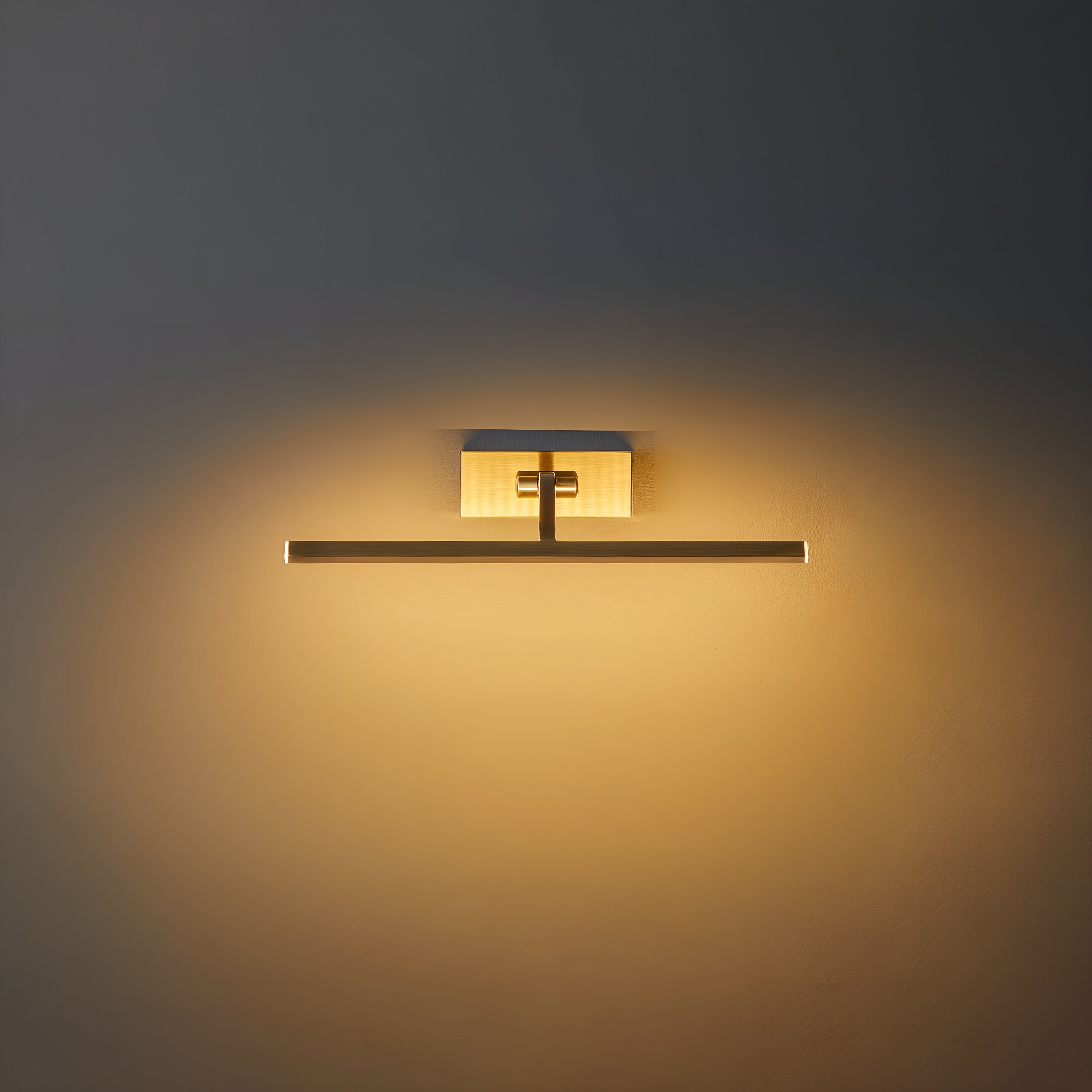 Elegant Brass Picture Light Sconce with Adjustable LED for Art Display