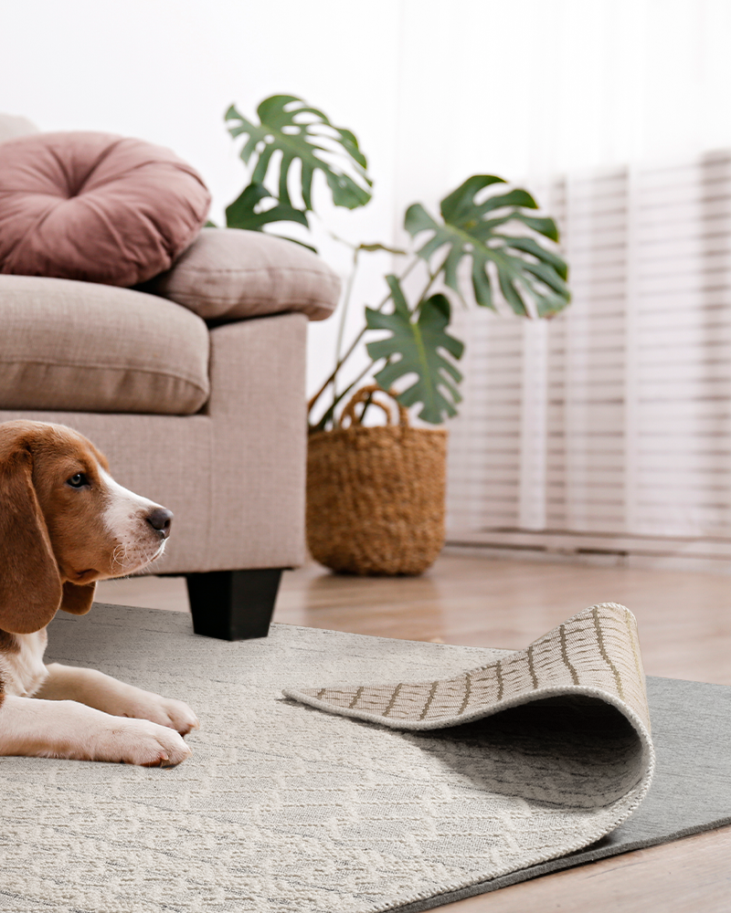 Home Comfort | Non-Slip Rug Pad Gripper with Anti-Skid Backing | Durable Protection for Hardwood Floors
