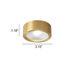 Lumora | Flush Mount Ceiling Light with Adjustable Brightness | Elegant Copper Fixture for Hallways and Living Rooms