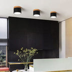Modern Flush Mount Ceiling Light | Scandinavian Design with Color Changing LED | Versatile Lighting for Hallway and Living Room