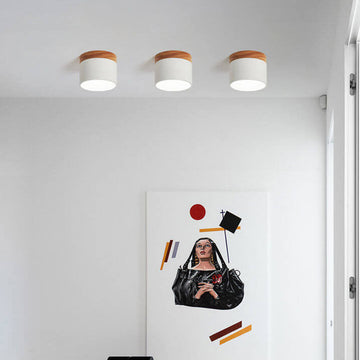 Modern Flush Mount Ceiling Light | Scandinavian Design with Color Changing LED | Versatile Lighting for Hallway and Living Room
