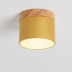 Modern Flush Mount Ceiling Light | Scandinavian Design with Color Changing LED | Versatile Lighting for Hallway and Living Room
