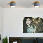 Modern Flush Mount Ceiling Light | Scandinavian Design with Color Changing LED | Versatile Lighting for Hallway and Living Room