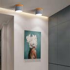 Modern Flush Mount Ceiling Light | Scandinavian Design with Color Changing LED | Versatile Lighting for Hallway and Living Room
