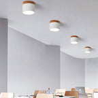 Modern Flush Mount Ceiling Light | Scandinavian Design with Color Changing LED | Versatile Lighting for Hallway and Living Room