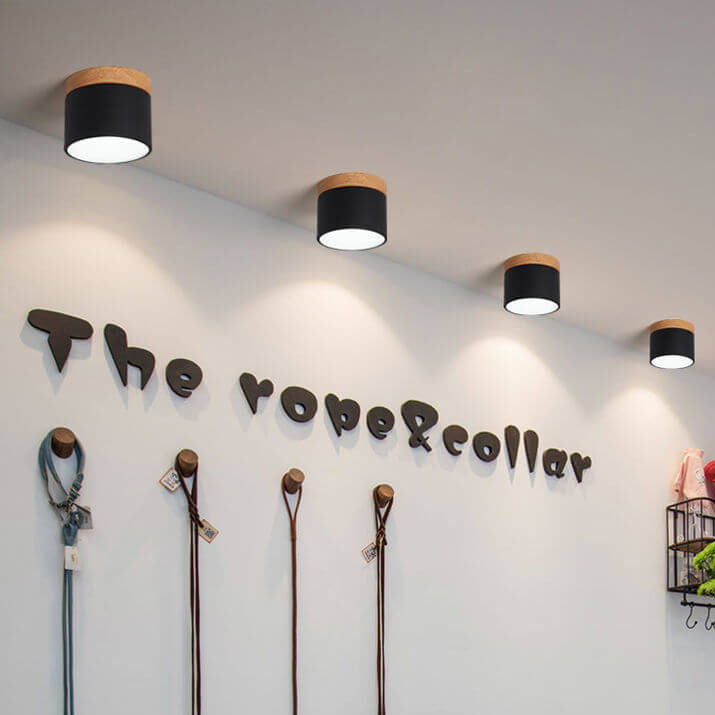 Modern Flush Mount Ceiling Light | Scandinavian Design with Color Changing LED | Versatile Lighting for Hallway and Living Room