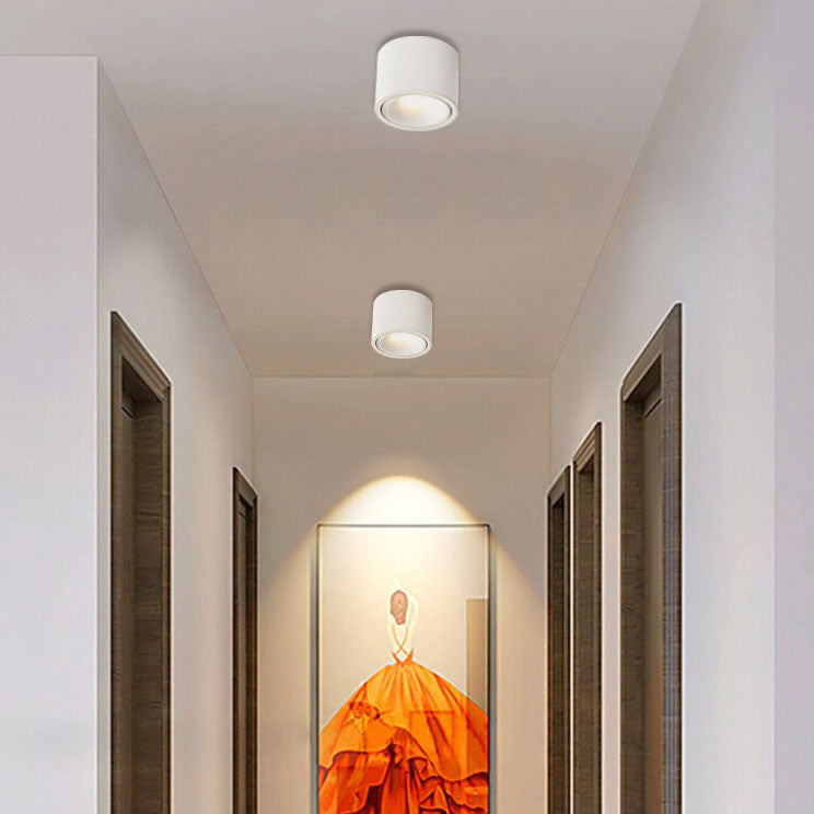 Modern Minimalist | Flush Mount Ceiling Light with Adjustable LED | Sleek Design for Elegant Illumination