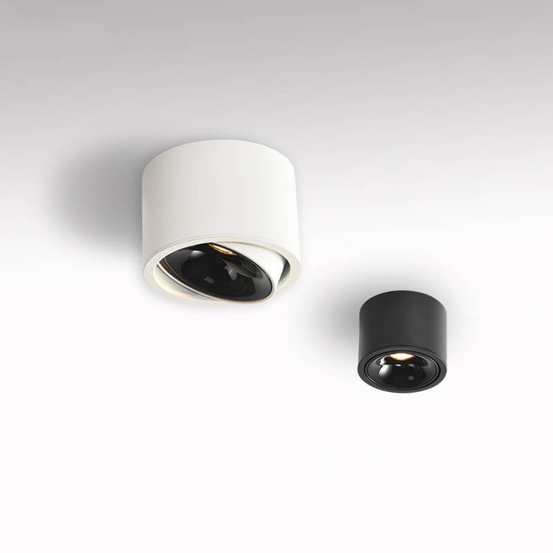 Modern Minimalist | Flush Mount Ceiling Light with Adjustable LED | Sleek Design for Elegant Illumination