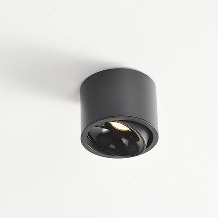 Modern Minimalist | Flush Mount Ceiling Light with Adjustable LED | Sleek Design for Elegant Illumination