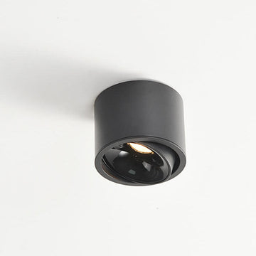 Modern Minimalist | Flush Mount Ceiling Light with Adjustable LED | Sleek Design for Elegant Illumination
