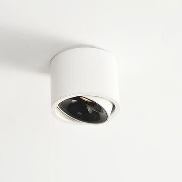 Modern Minimalist | Flush Mount Ceiling Light with Adjustable LED | Sleek Design for Elegant Illumination