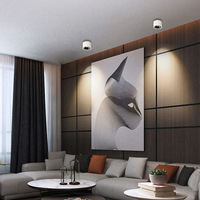 Modern Minimalist | Flush Mount Ceiling Light with Adjustable LED | Sleek Design for Elegant Illumination