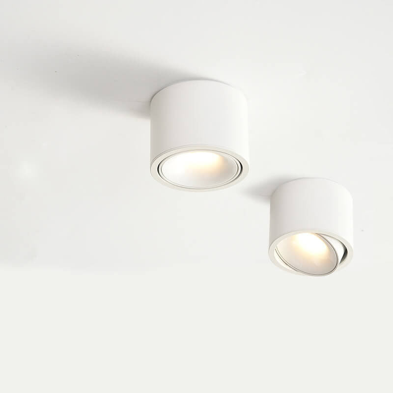 Modern Minimalist | Flush Mount Ceiling Light with Adjustable LED | Sleek Design for Elegant Illumination