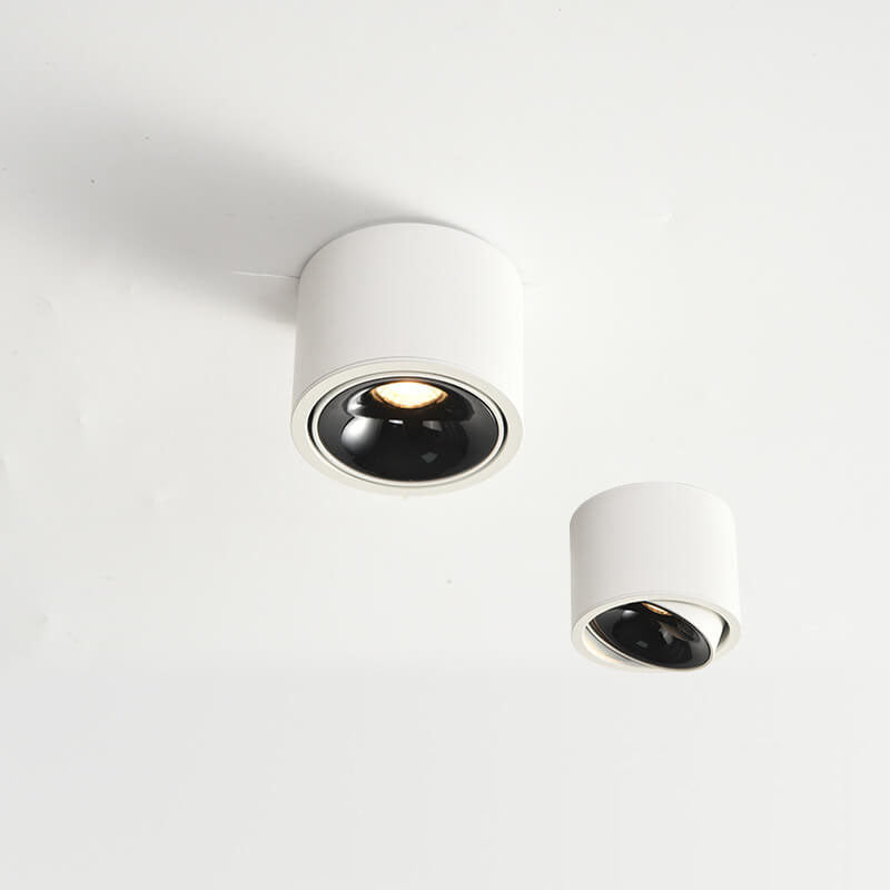 Modern Minimalist | Flush Mount Ceiling Light with Adjustable LED | Sleek Design for Elegant Illumination