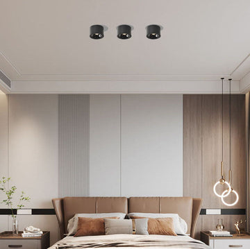 Modern Minimalist | Flush Mount Ceiling Light with Adjustable LED | Sleek Design for Elegant Illumination
