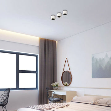 Modern Minimalist | Flush Mount Ceiling Light with Adjustable LED | Sleek Design for Elegant Illumination