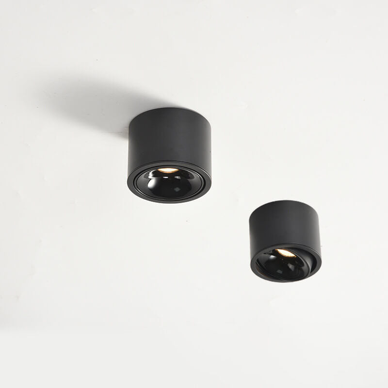 Modern Minimalist | Flush Mount Ceiling Light with Adjustable LED | Sleek Design for Elegant Illumination