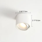 Modern Minimalist | Flush Mount Ceiling Light with Adjustable LED | Sleek Design for Elegant Illumination