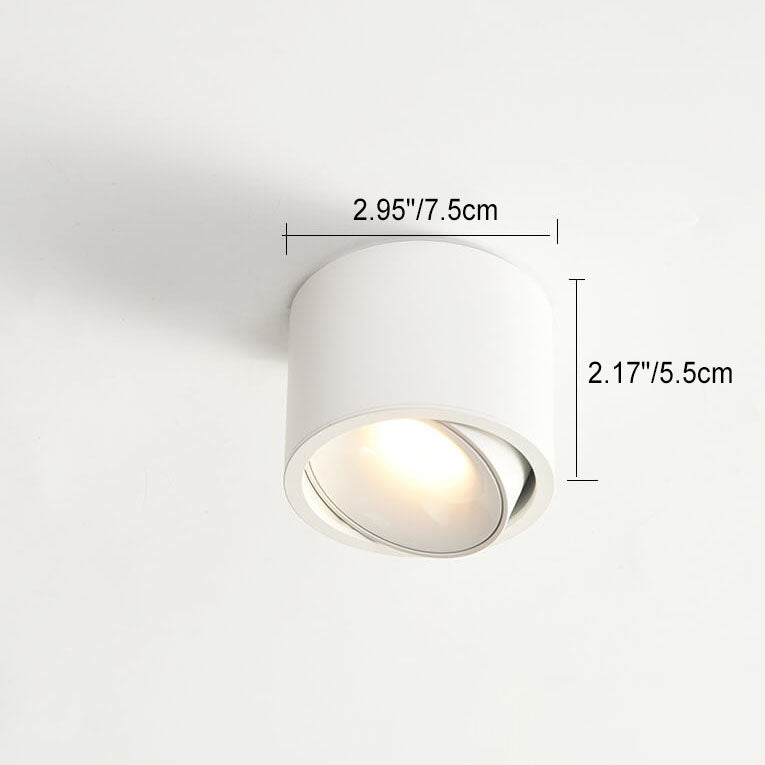 Modern Minimalist | Flush Mount Ceiling Light with Adjustable LED | Sleek Design for Elegant Illumination