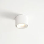 Modern Minimalist | Flush Mount Ceiling Light with Adjustable LED | Sleek Design for Elegant Illumination