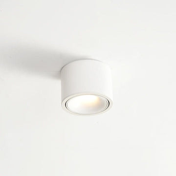 Modern Minimalist | Flush Mount Ceiling Light with Adjustable LED | Sleek Design for Elegant Illumination