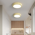 Modern Round Flush Mount Ceiling Light with Energy-Efficient LED | Sleek Design for Ambient Illumination