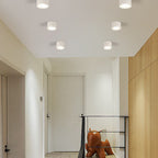 Nordic Collection | Flush Mount Ceiling Light with LED Efficiency | Modern Design for Stylish Living Spaces