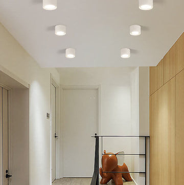 Nordic Collection | Flush Mount Ceiling Light with LED Efficiency | Modern Design for Stylish Living Spaces