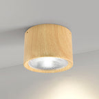 Nordic Collection | Flush Mount Ceiling Light with LED Efficiency | Modern Design for Stylish Living Spaces