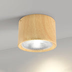 Nordic Collection | Flush Mount Ceiling Light with LED Efficiency | Modern Design for Stylish Living Spaces