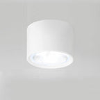 Nordic Collection | Flush Mount Ceiling Light with LED Efficiency | Modern Design for Stylish Living Spaces