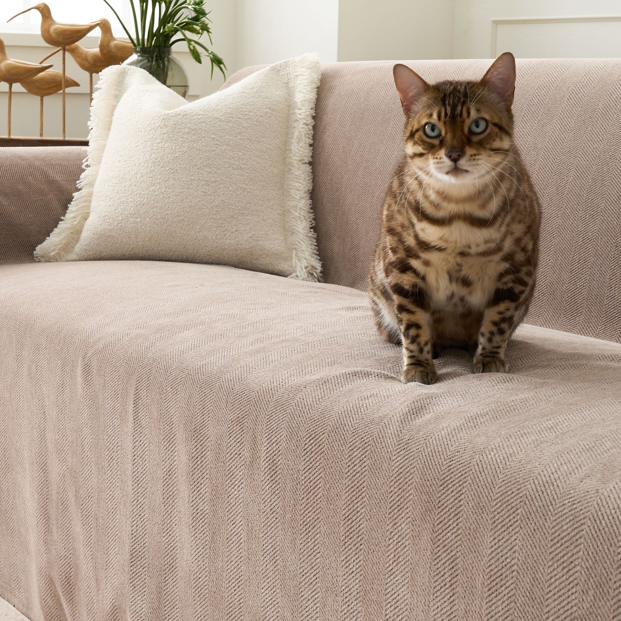 Pet Friendly Herringbone Sofa Cover with Soft Chenille Texture